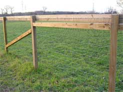 A section of the new fence at Ryders Lane. Click to enlarge.