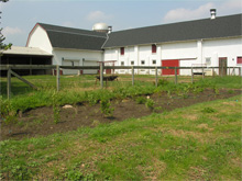 The rain garden will filter the nutrients in water runoff coming through the adjacent horse paddock.