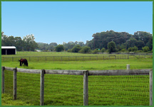 Through the use of best management practices, equine facilities can flourish while remaining environmentally friendly. 